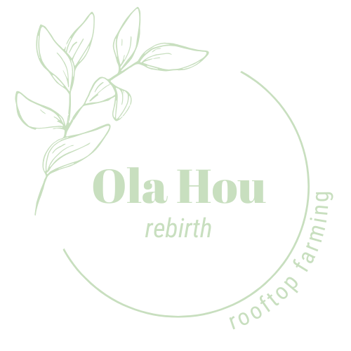 Ola Hou - Rebirth